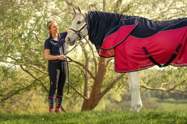 Is My Horse Too Hot Or Too Cold Under His Horse Rugs?