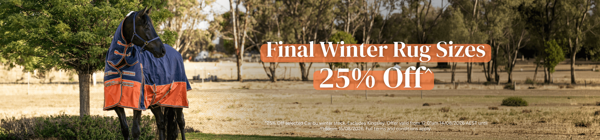 Final Winter Rug Sizes 25% Off
