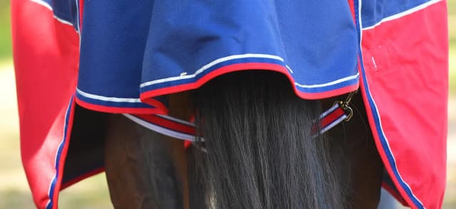 3 Ways to Fit Your Horse Rug Leg Straps