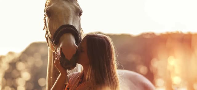 Your Guide to Horse Worming