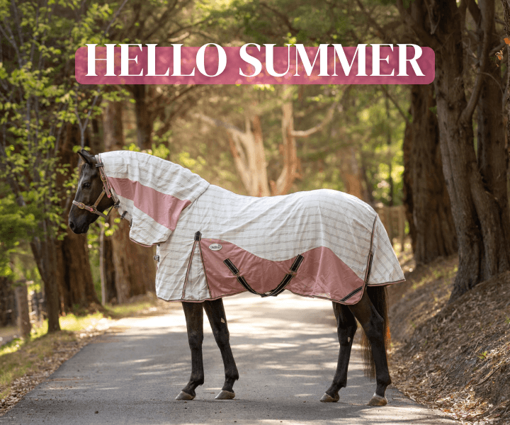 Hello Summer