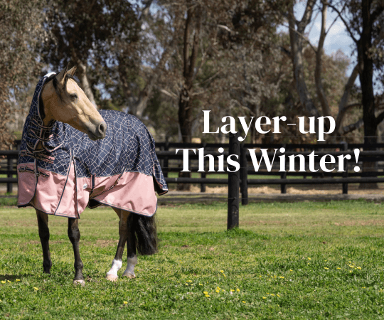 Layer up this winter!