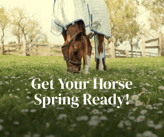Get Your Horse Spring Ready!