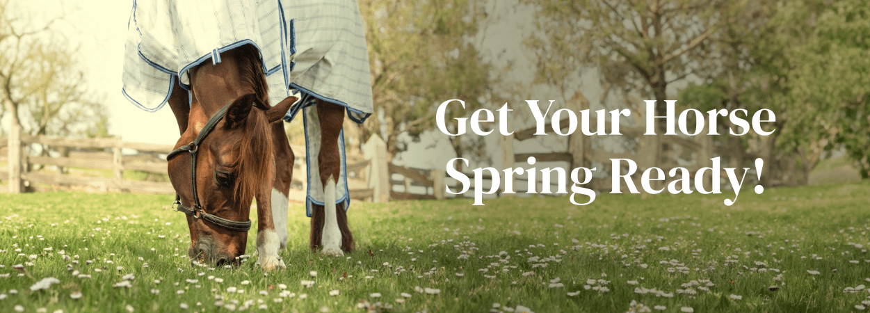 Get Your Horse Spring Ready!