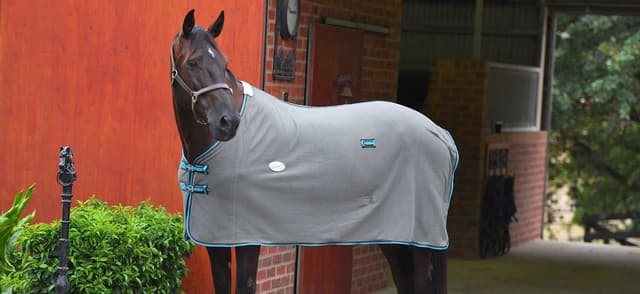Choosing the Right Under Blanket for Your Horse