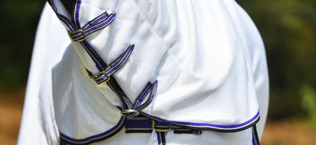 Choosing the Right Fly Sheet for Your Horse