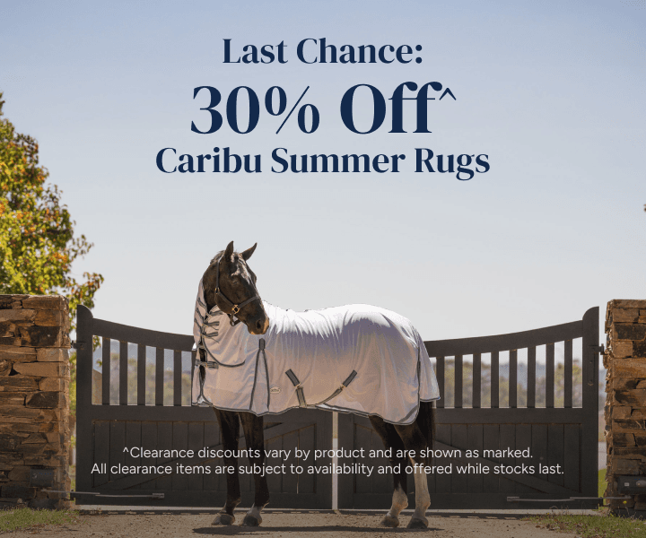 Last Chance: 30% Off Caribu Summer Rugs