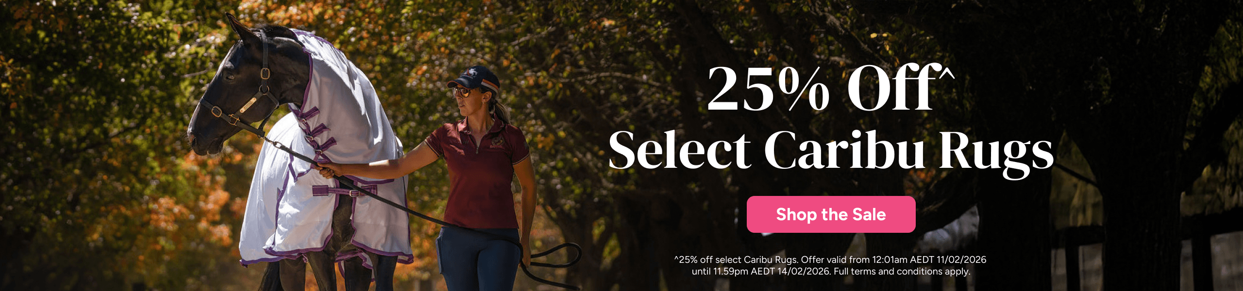 25% Off Select Caribu Rugs | Shop the Sale