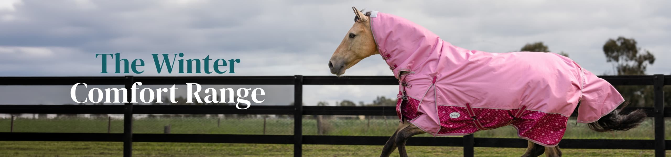 The Winter Comfort Range