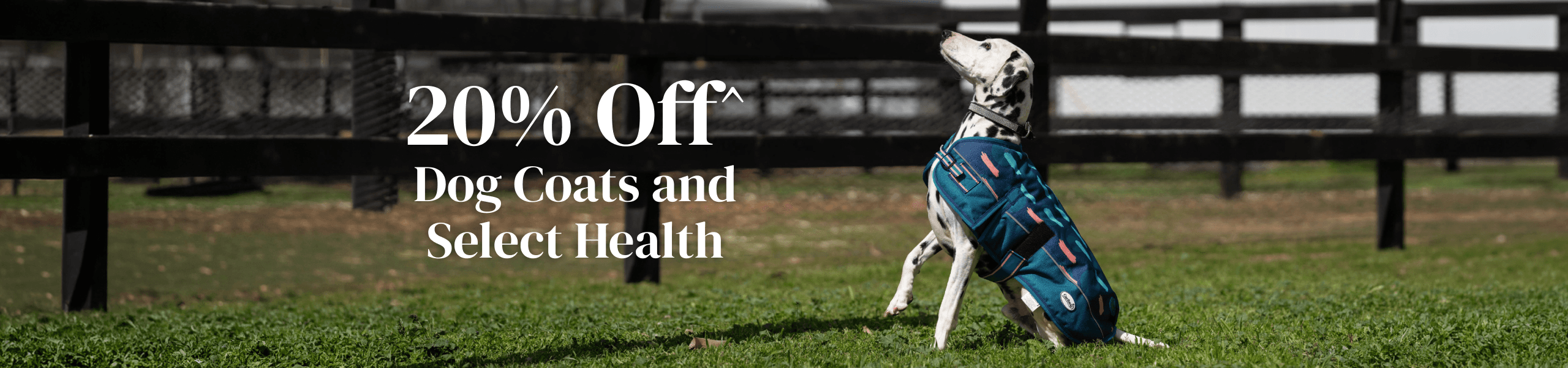 20% Off Dog Coats and Select Health