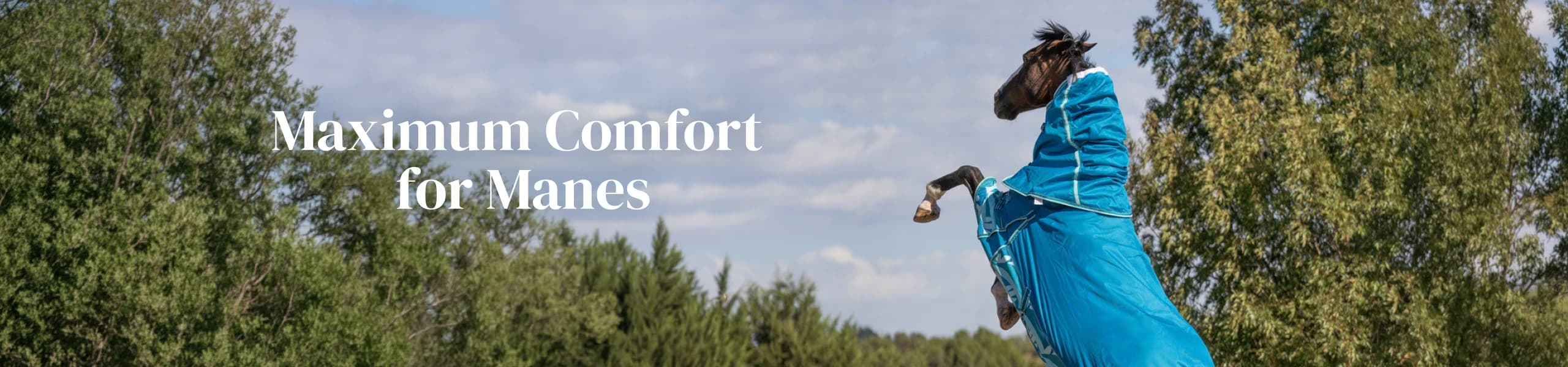 Maximum Comfort for Manes