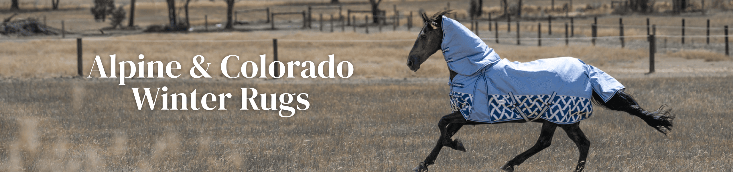 Alpine & Colorado Winter Rugs