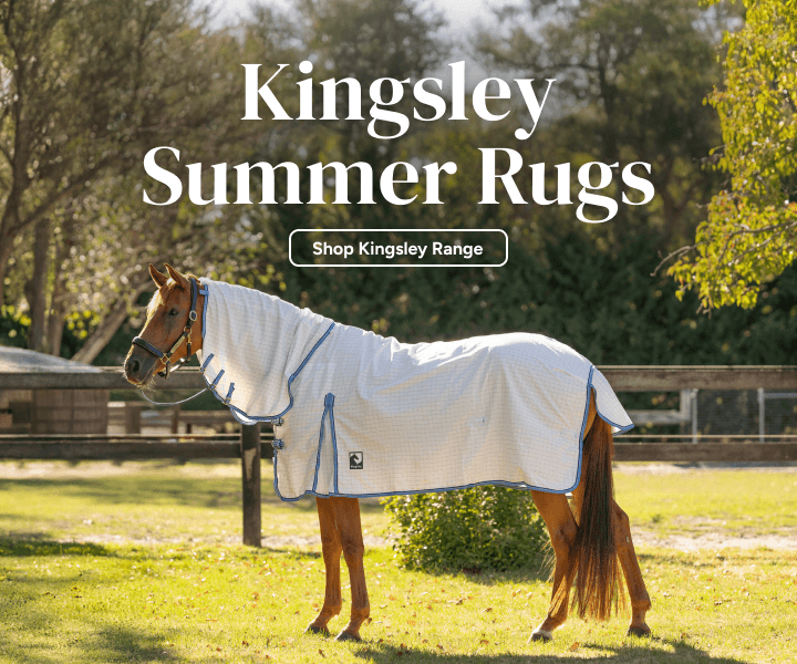 Kingsley Summer Rugs