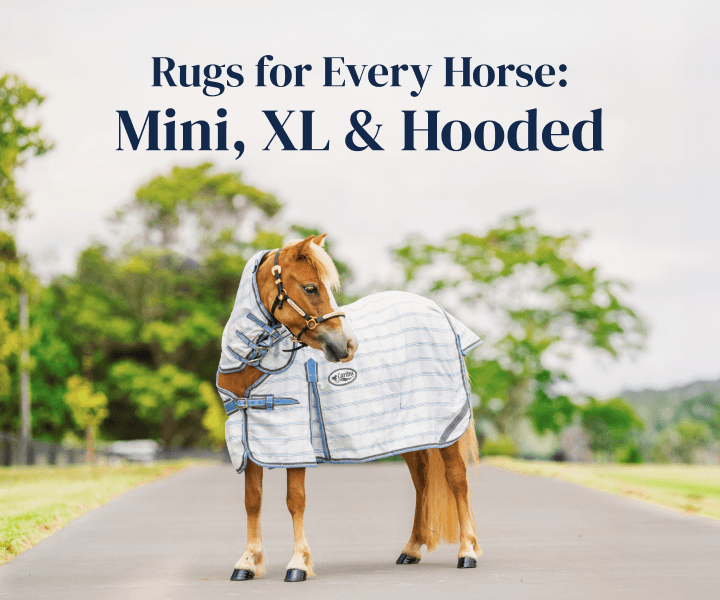 Rugs for every horse: Mini, XL & Hooded