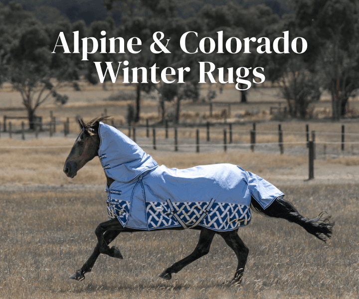 Alpine & Colorado Winter Rugs