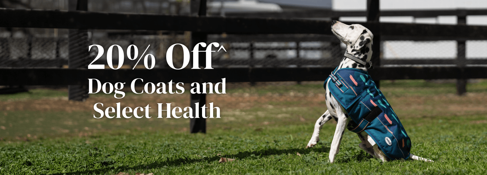 20% Off Dog Coats and Select Health