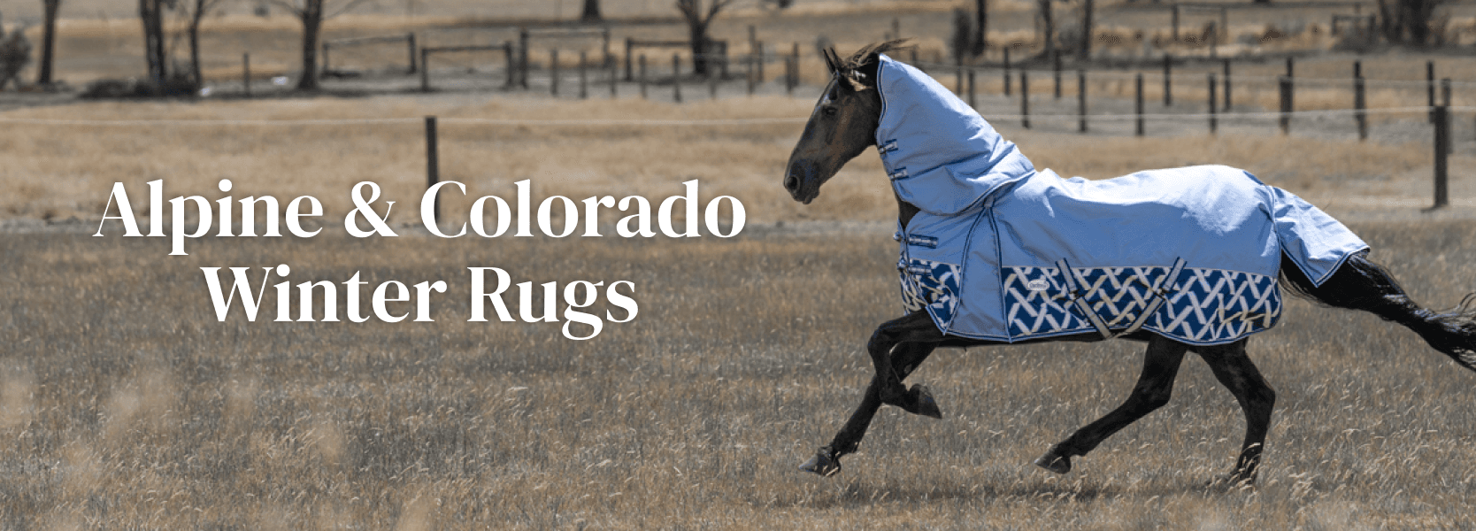 Alpine & Colorado Winter Rugs