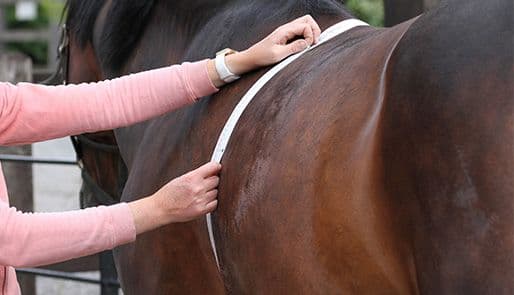 Fitting Guides for Horse Rugs and Hoods