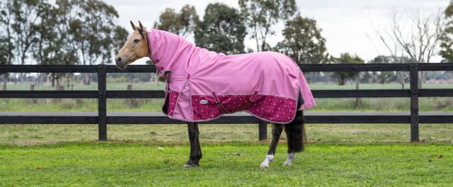 How to Choose the Best Winter Rug for Your Horse