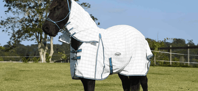 X-Long Gusset Horse Rugs: The Solution for Broad Horses