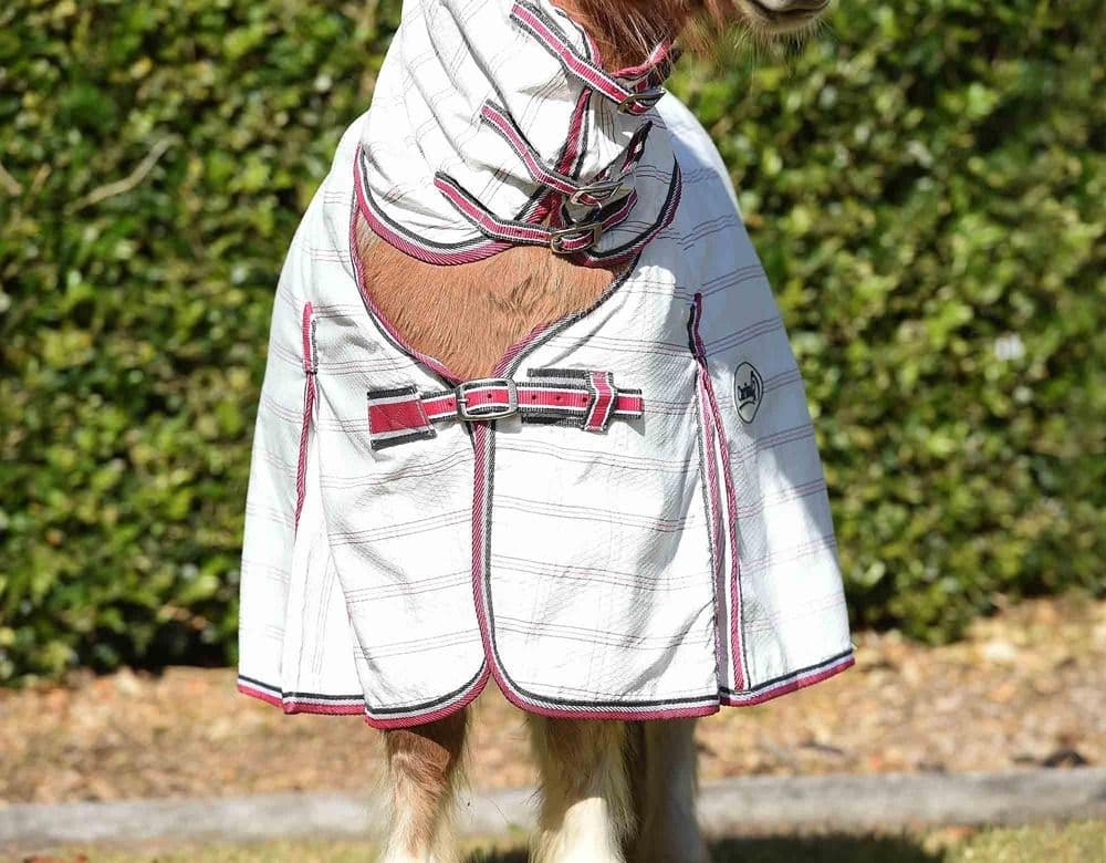 Discover Durable Ripstop Horse Rugs | Caribu